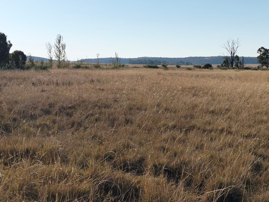 Commercial Property for Sale in Thaba Nchu Free State